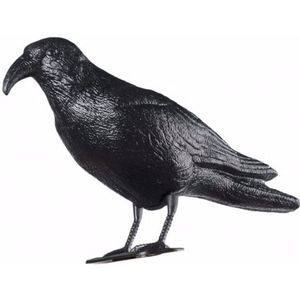 Vogelverschrikker/ duivenverjager raaf/zwarte kraai van plastic