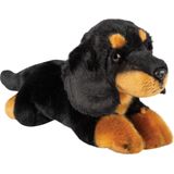 Pluche Knuffel Dieren Zwarte Tekkel Hond 30 cm - Speelgoed Knuffelbeesten - Honden Soorten