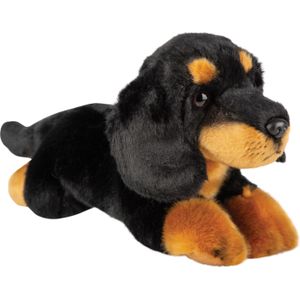 Pluche Knuffel Dieren Zwarte Tekkel Hond 30 cm - Speelgoed Knuffelbeesten - Honden Soorten