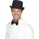 Carnaval verkleed set George - Aristoctaat/Gentleman - Hoge hoed met plaksnor - Heren kostuum accessoires