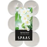 Candles by Spaas geurkaarsen - 36x stuks in 3 geuren Blossom Flowers - Exotic Wood - Jasmin Spirit
