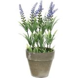 Groene/paarse Lavandula/lavendel kunstplant 25 cm in grijze betonlook pot - Kunstplanten/nepplanten