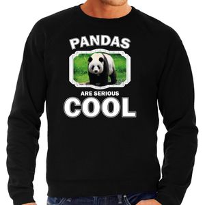 Dieren pandaberen sweater zwart heren - pandas are serious cool trui - cadeau sweater grote panda/ pandaberen liefhebber