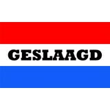 Geslaagd thema feestartikelen pakket 20 artikelen - Diploma gehaald versieringen - vlaggen/ballonnen/bierviltjes