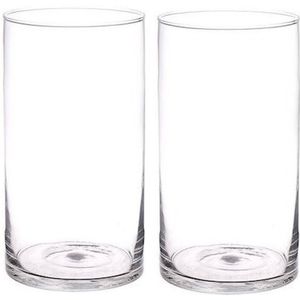 2x Rechte cilinder vazen glas 30 cm - Glazen bloemenvazen