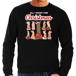 Bellatio Decorations foute kersttrui/sweater voor heren - All I want for Christmas - piemels - zwart
