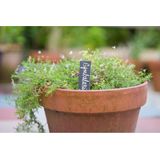 Nature Plantetiketten/plantenlabels - 15x - leisteen - 15 cm - steeketiketten