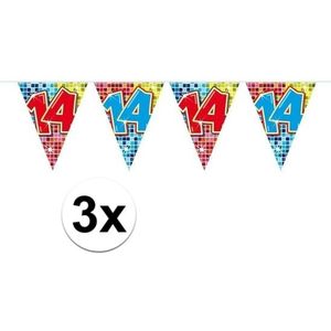 3x Mini vlaggenlijn / slinger - verjaardag 14 jaar - 300 cm