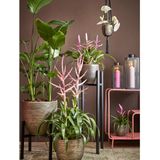 Mica Decorations - plantenpot/bloempot - 2x - zwart/goud flakes relief- D24/H22 cm