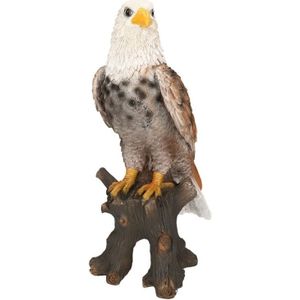 Dierenbeeld vogel adelaar/arend - 36 cm - roofvogels - polystone - binnen/buiten