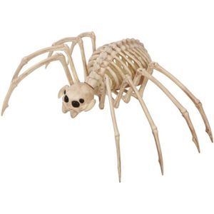Horror decoratie skelet tarantula spin 35 x 20 cm - Halloween decoratie dieren - Spinnen geraamte