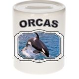 Dieren liefhebber grote orka spaarpot  9 cm jongens en meisjes - keramiek - Cadeau spaarpotten orka walvissen liefhebber