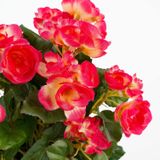 Donkerroze Begonia kunstplant met bloemen 30 cm in grijze pot - Kunstplanten/nepplanten - Voor binnen