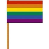 6x Luxe zwaaivlaggen/handvlaggen regenboog 30 x 45 cm met houten stok -  LGBT/LGBTQ feestartikelen