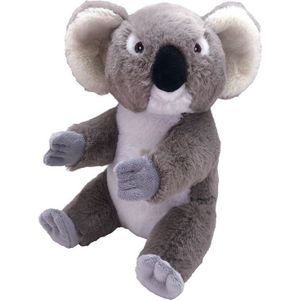 Pluche koala beer grijs knuffel 30 cm - Australische dieren - Koala beren knuffeldieren - Speelgoed voor kinderen