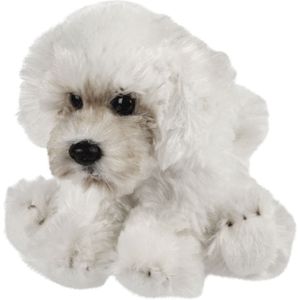 Pluche Knuffeldier Hond - Maltezer - 13 cm - Creme Wit - Huisdieren Thema