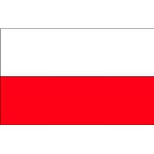 10x Binnen en buiten stickers Polen 10 cm -  Poolse vlag stickers - Supporter feestartikelen - Landen decoratie en versieringen