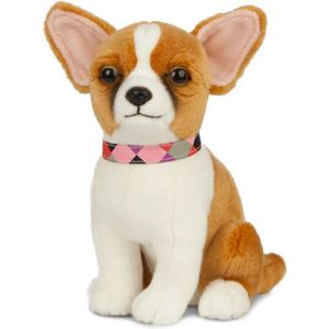 Pluche Chihuahua honden knuffel 20 cm zittend - Chihuahua huisdieren knuffels - Speelgoed