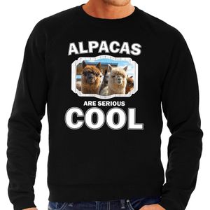 Dieren alpacas sweater zwart heren - alpacas are serious cool trui - cadeau sweater alpaca/ alpacas liefhebber