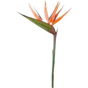 Emerald Kunstbloem Strelitzia - 90 cm - losse tak - kunst zijdebloem - Paradijsvogelplant