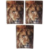 3x stuks leeuw schrift 3D 21cm - opschrijfboekjes/notitieboekje/school schriften