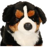 Pluche honden knuffel zittende Berner Senner 30 cm - speelgoed dieren