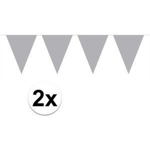 2x Mini vlaggenlijn / slinger - 300 cm - zilver / gekleurd