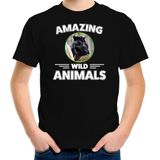 T-shirt panter - zwart - kinderen - amazing wild animals - cadeau shirt panter / zwarte panters liefhebber