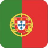 60x Bierviltjes Portugese vlag vierkant - Portugal feestartikelen - Landen decoratie