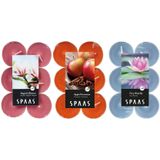 Candles by Spaas geurkaarsen - 36x stuks in 3 geuren Magnolia Flowers - Appel/Cinnamon - Waterlilly