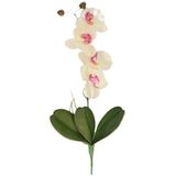 Set van 6x stuks roze/wit Orchidee/Phalaenopsis kunstplant takken 44 cm voor binnen -  kunstplanten/nepplanten/binnenplanten
