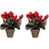 2x stuks cyclaam kunstplanten rood in keramieken pot H30 x D30 cm - Kunstplanten/nepplanten met bloemen