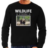 Dieren foto sweater Beer - zwart - heren - wildlife of the world - cadeau trui Beren liefhebber