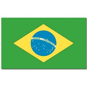 Vlag Brazilie 90 x 150 cm feestartikelen - Brazilie landen thema supporter/fan decoratie artikelen
