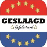 60x Bierviltjes Geslaagd Nederlandse vlag vierkant - Diploma/geslaagd/afgestudeerd feestartikelen