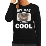 Britse korthaar katten trui / sweater my cat is serious cool zwart - dames - katten / poezen liefhebber cadeau sweaters