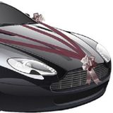 Chaks Trouwauto decoratie lint - bordeaux rood - just married - bruiloft benodigdheden