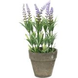 Groene/lilapaarse Lavandula/lavendel kunstplant 25 cm in grijze betonlook pot - Kunstplanten/nepplanten