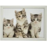 2x Laptray/Schoottafel 3 Kat/Poes/Kittens Print 43 X 33 cm