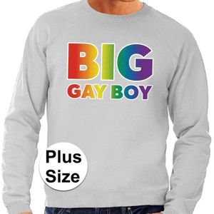Grote maten Big Gay Boy regenboog sweater grijs -  plus size lgbt sweater voor heren - gay pride
