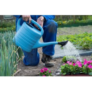 2x stuks gieter blauw kunststof 10 liter met broeskop/sproeikop - tuinplanten gieter