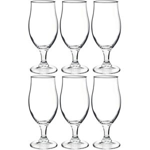 6x Stuks luxe bierglazen speciaalbier 375 ml - Bierglazen - Glazen voor speciaalbier