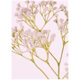 3x stuks kunstbloemen Gipskruid/Gypsophila takken wit 58 cm - Kunstplanten en steelbloemen