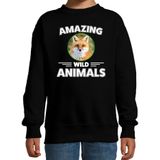 Sweater vos - zwart - kinderen - amazing wild animals - cadeau trui vos / vossen liefhebber