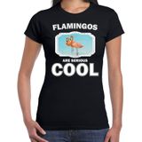 Dieren flamingo vogels t-shirt zwart dames - flamingos are serious cool shirt - cadeau t-shirt flamingo/ flamingo vogels liefhebber