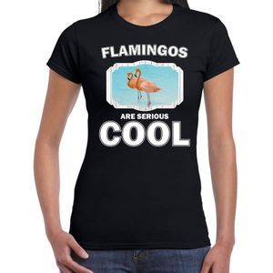 Dieren flamingo vogels t-shirt zwart dames - flamingos are serious cool shirt - cadeau t-shirt flamingo/ flamingo vogels liefhebber