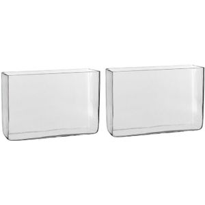 2x Hoge rechthoekige vaas transparant glas 30 x 10 x 20 cm - Accubak - Glazen vazen - Woonaccessoires