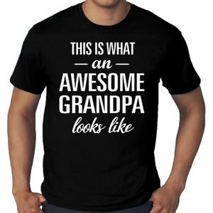 Bellatio Decorations Grote Maten Awesome grandpa t-shirt voor heren