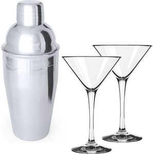 4x Cocktailglazen / martiniglazen 250 ml van glas + Cocktailshaker semi-matte 550 ml RVS - 8,5 x 21 cm - Mix/shake bekers