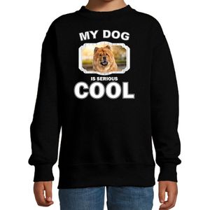Chow chow honden trui / sweater my dog is serious cool zwart - kinderen - Chow chows liefhebber cadeau sweaters - kinderkleding / kleding